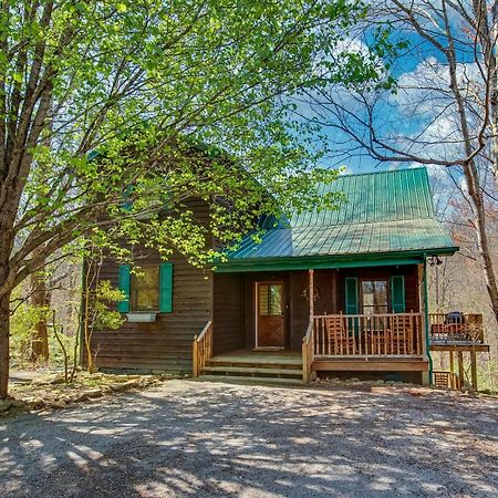 North Ridge Place Brand New Log Cabin With Hot Tub Great Location 세비어빌 외부 사진