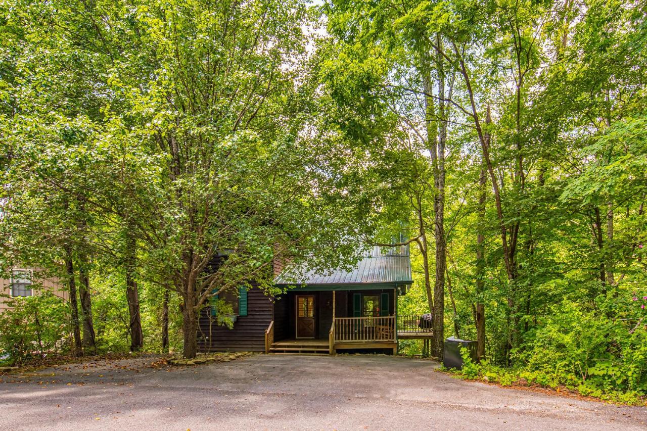 North Ridge Place Brand New Log Cabin With Hot Tub Great Location 세비어빌 외부 사진